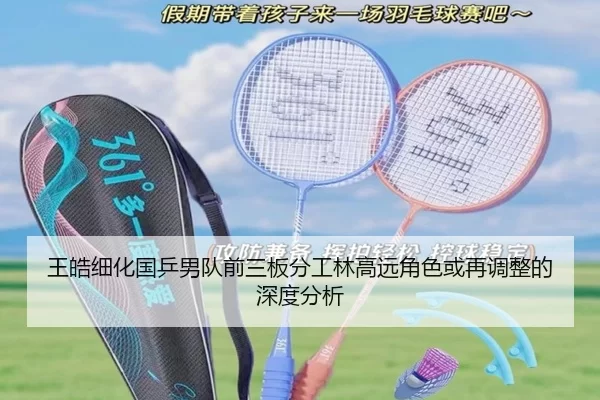 王皓细化国乒男队前三板分工林高远角色或再调整的深度分析